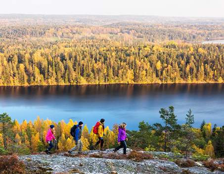 Dalsland görseli